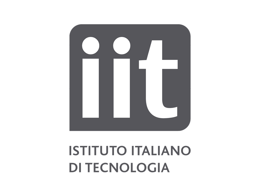 IIT-Istituto Italiano di Tecnologia
