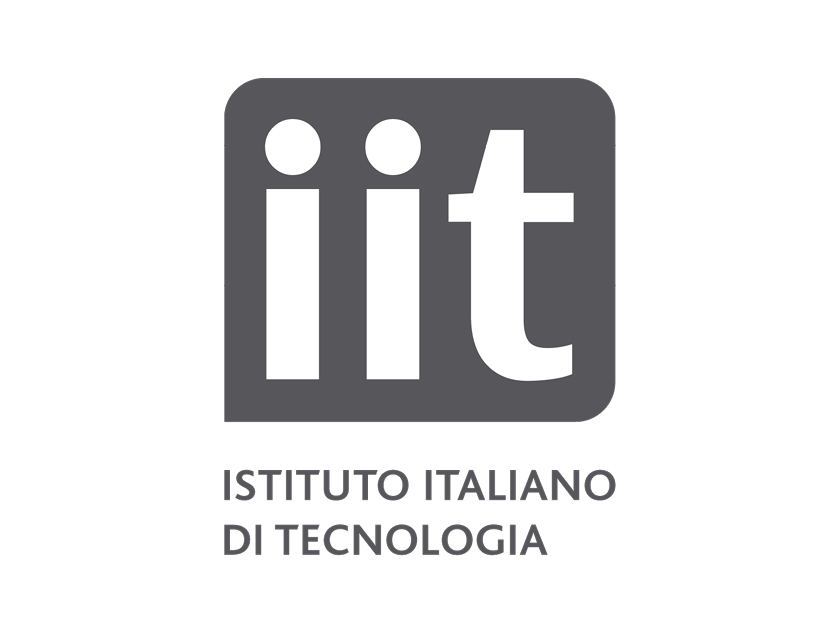 IIT-Istituto Italiano di Tecnologia